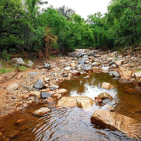 شقة 66 Sharalumbi Wildlife Estate ليندبرغ الغرفة الصورة