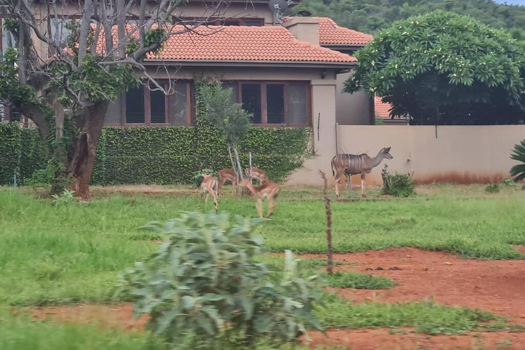 شقة 66 Sharalumbi Wildlife Estate ليندبرغ المظهر الخارجي الصورة