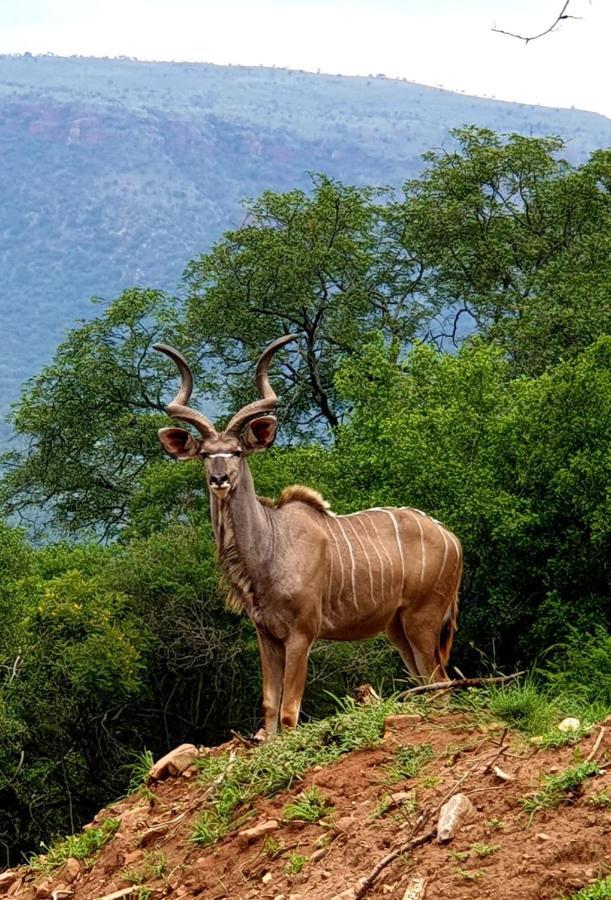 شقة 66 Sharalumbi Wildlife Estate ليندبرغ المظهر الخارجي الصورة