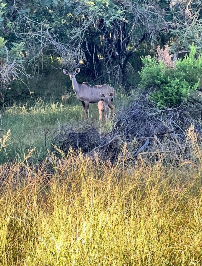 شقة 66 Sharalumbi Wildlife Estate ليندبرغ المظهر الخارجي الصورة