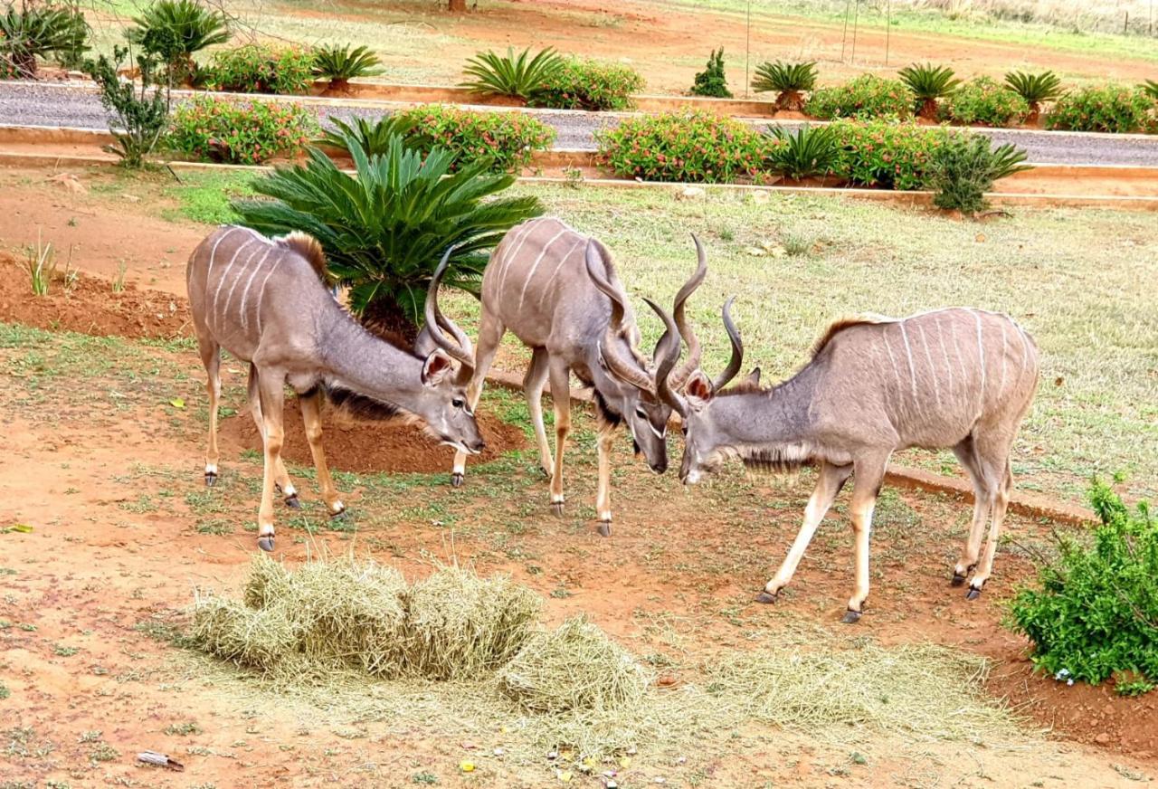 شقة 66 Sharalumbi Wildlife Estate ليندبرغ المظهر الخارجي الصورة